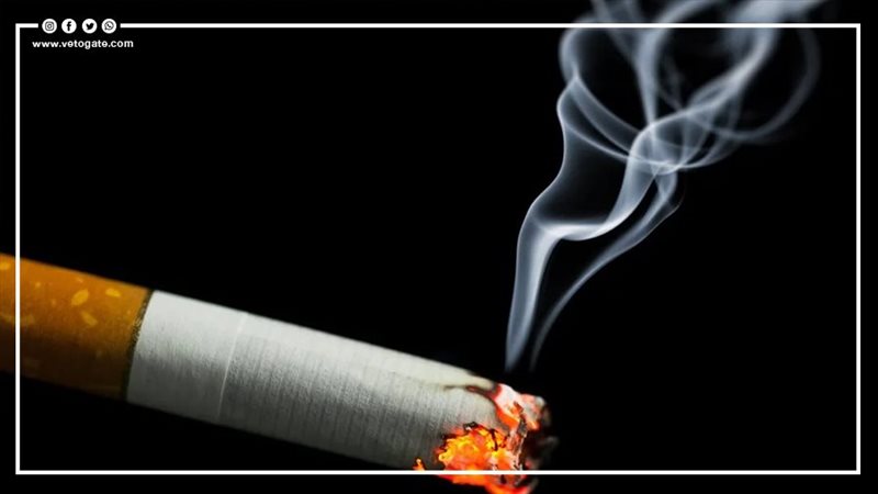 معدلات التدخين 