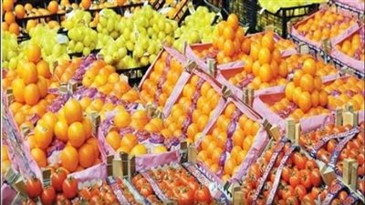 بزيادة 150 ألف طن عن العام الماضي.. الصادرات الزراعية تتجاوز 4 ملايين و400 ألف طن 