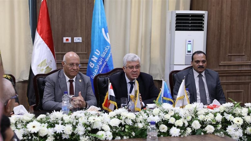 الدكتور أيمن عاشور
