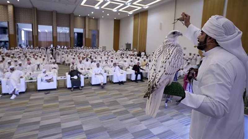 صقر