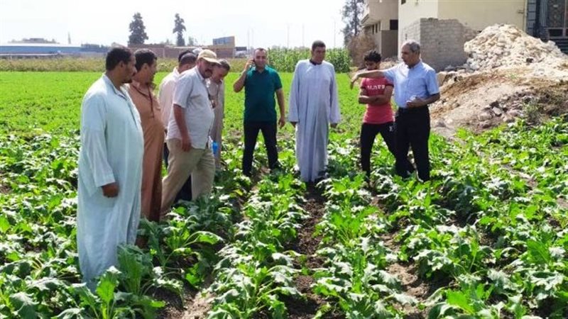مدرسة حقلية إرشادية