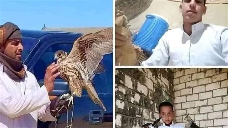 ضحايا الصيد في مطروح