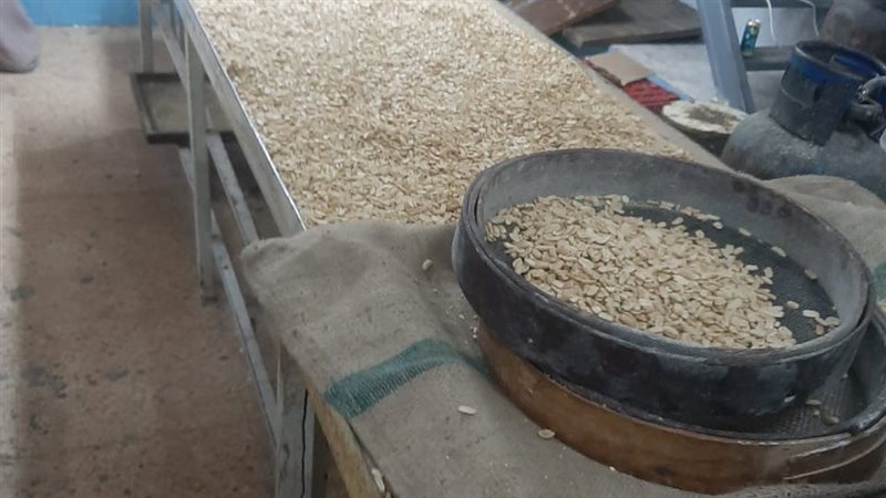 حملات بتموين القليوبية