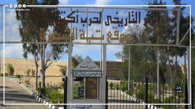معركة تبة الشجرة..عندما قطع الجيش المصري رأس الأفعى على جبهة العدو | فيديوجراف