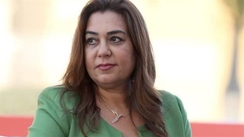 محافظ دمياط 