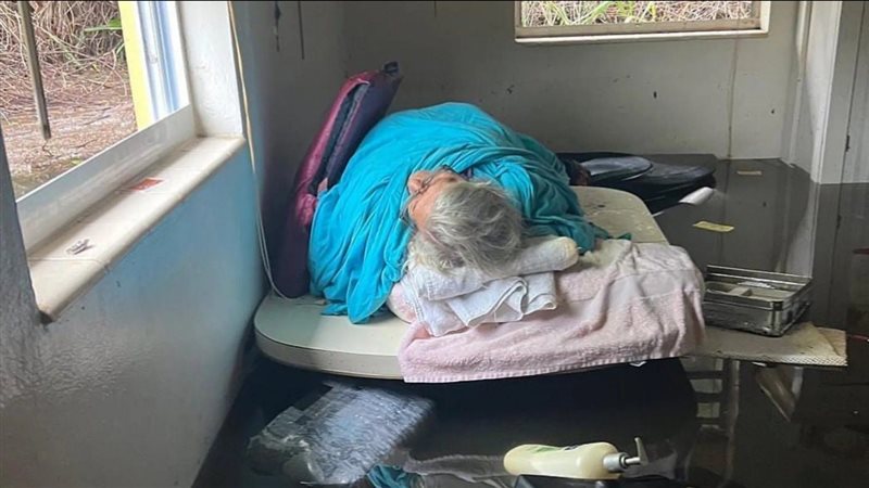 إمرأة أمريكية 