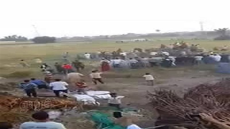 مطاردة عجل في قرية
