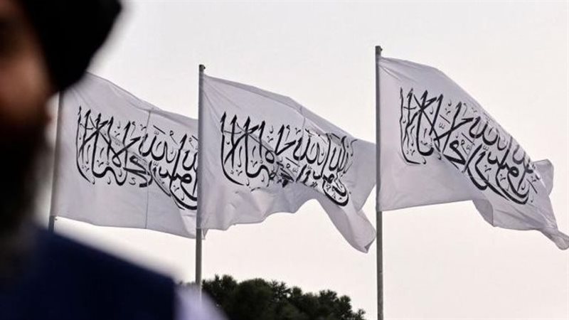 طالبان، فيتو