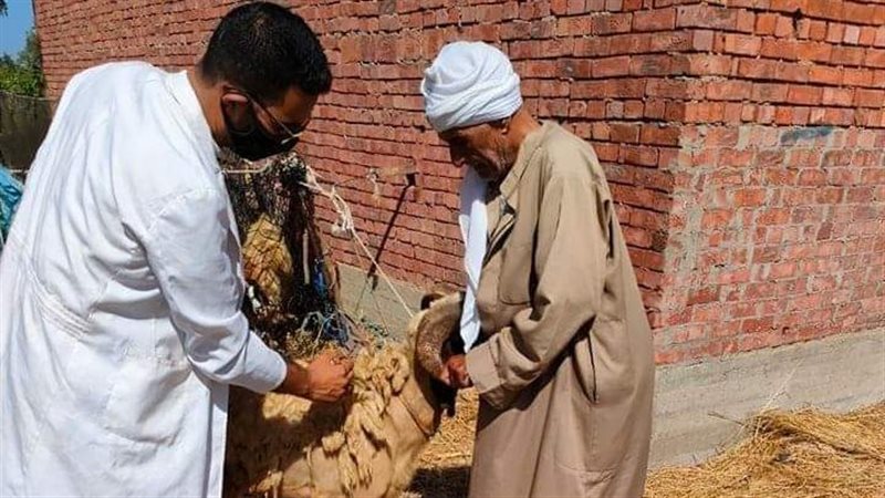حملات تحصين في الدقهلية