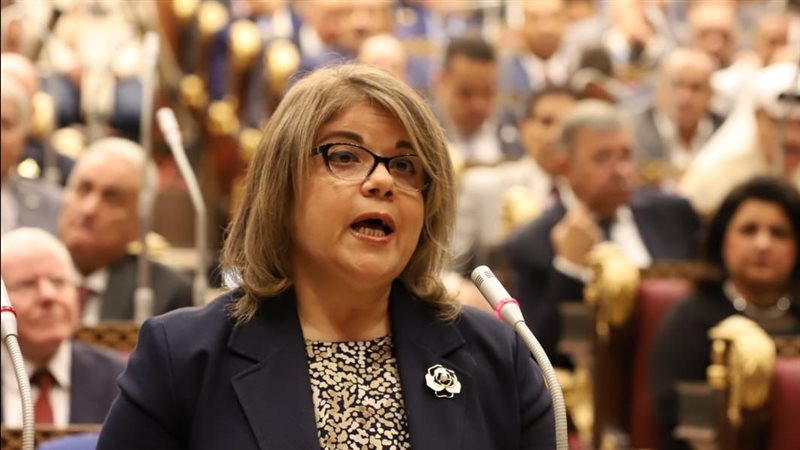 النائبة فيبي فوزي