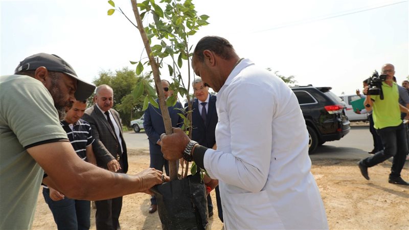 زراعة عدد من الأشجار