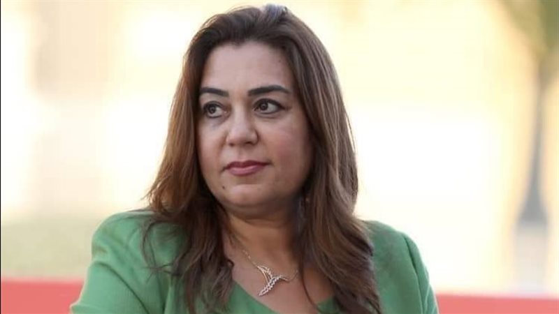 محافظ دمياط