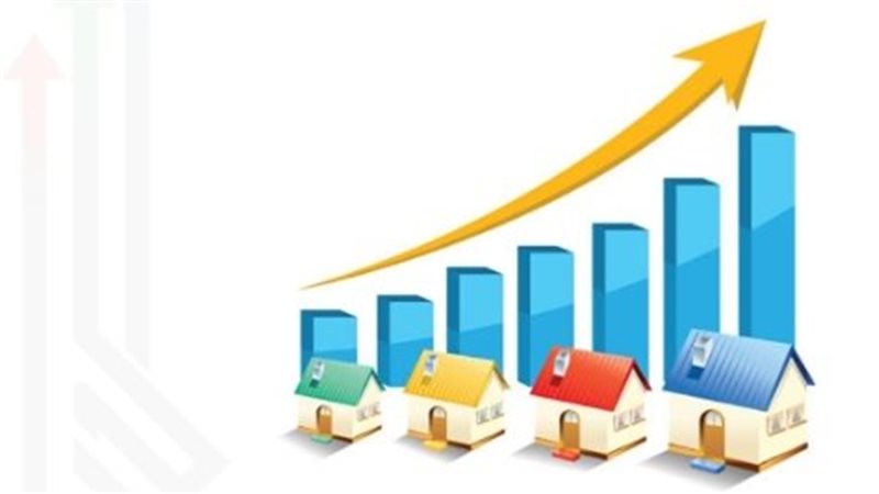 المشروعات الاستثمارية