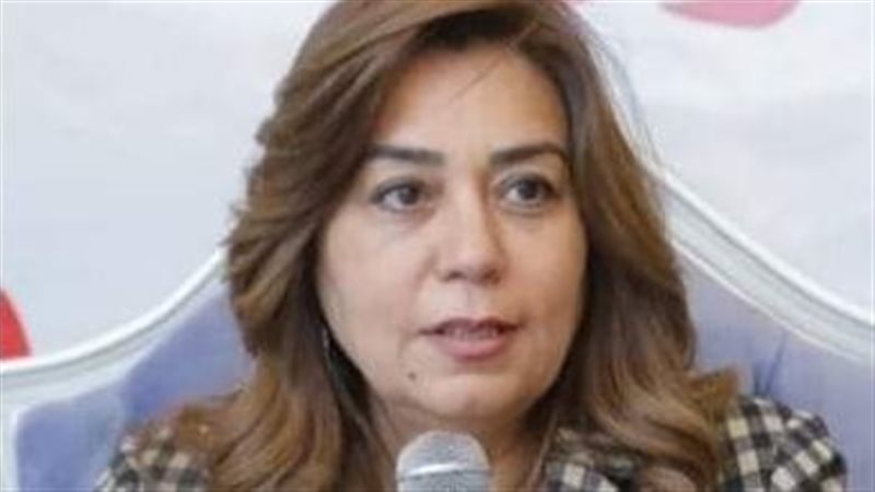 محافظ دمياط