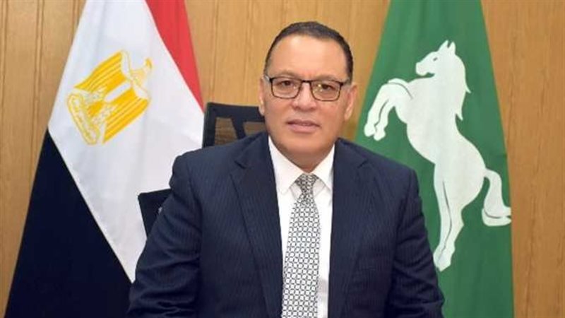 محافظ الشرقية 