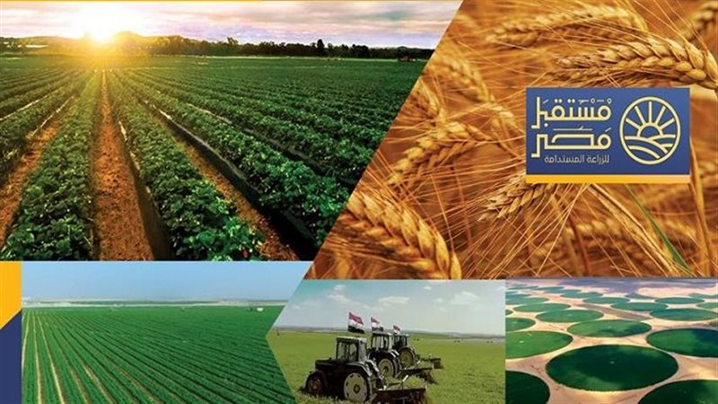 مشروع مستقبل مصر