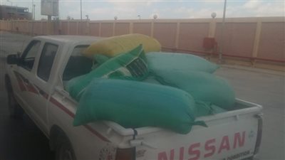 تحرير 140 محضرا في حملات تموينية مكبرة بالإسكندرية 