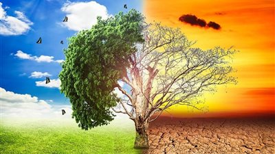 خالد القاضي يوضح مدى تأثير التغيرات المناخية على أزمة الغذاء | فيديو
