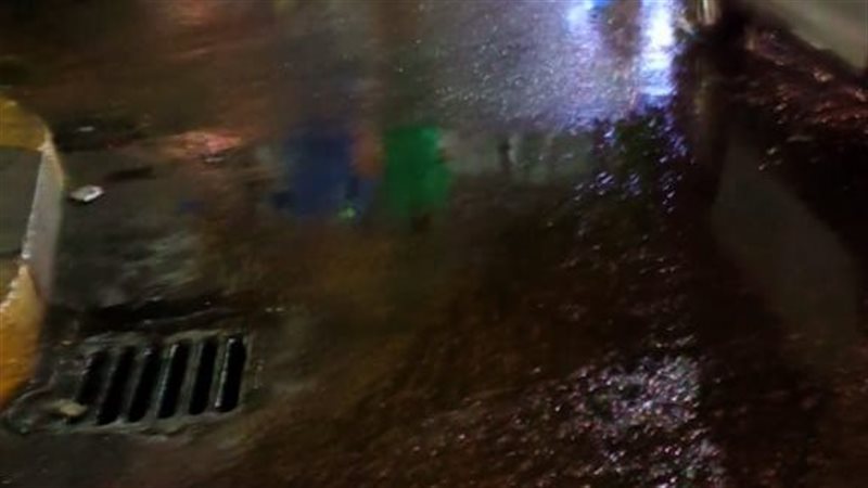 الاسكندريه 
