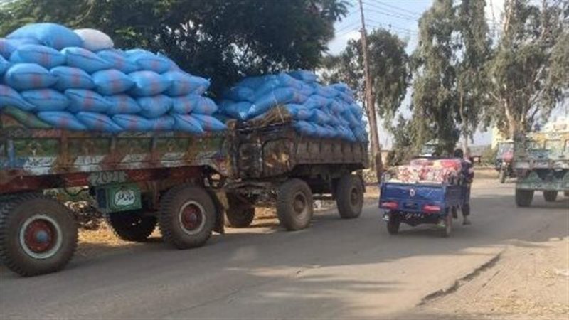 جانب من المضبوطات