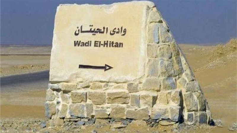 وادي الحيتان بالفيوم