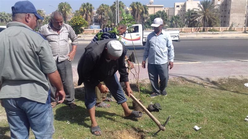 محافظة الإسكندرية