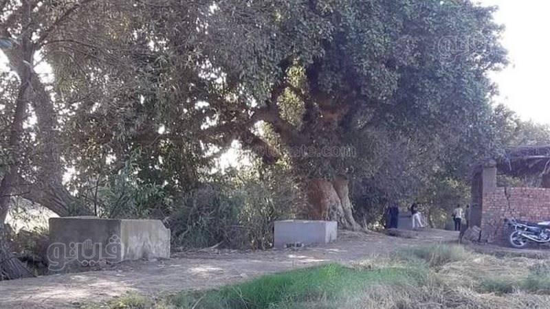مقابر دهتورة