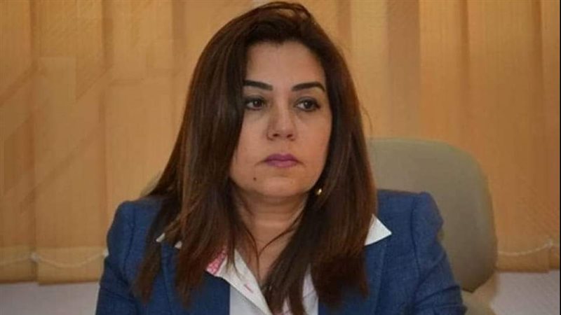 محافظ دمياط 