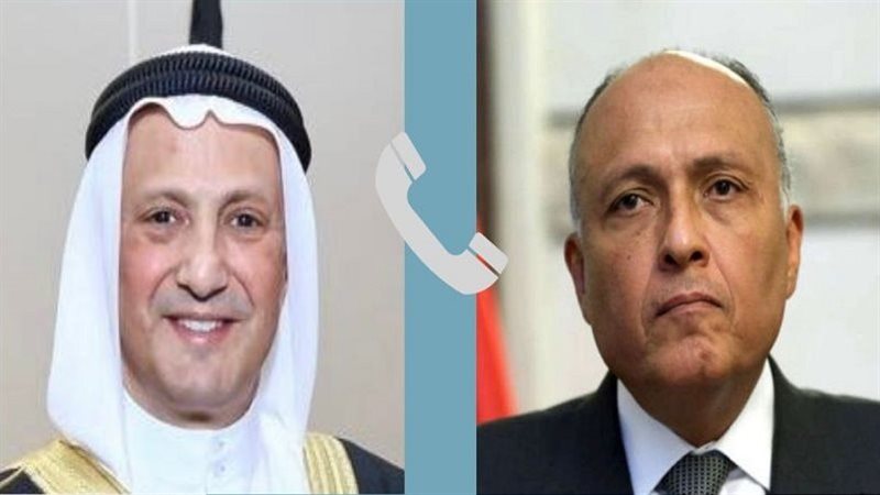 سامح شكري وسالم عبد
