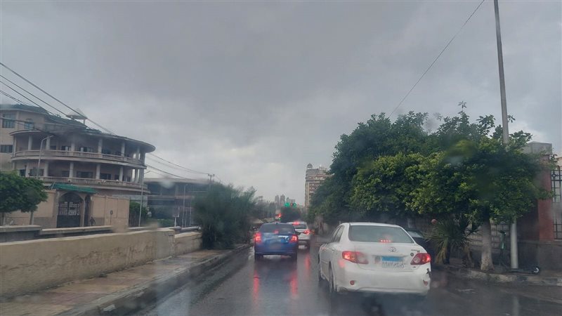 هطول أمطار في الإسكندرية