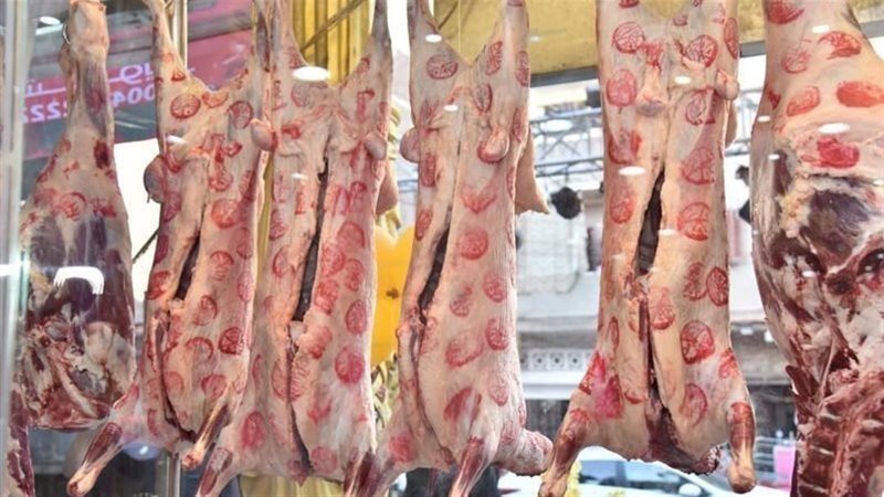 اللحوم 