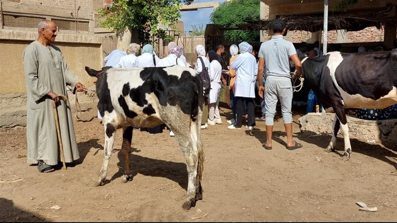 قافلة بيطرية