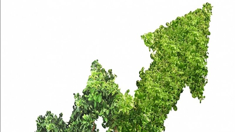 التنمية الصناعية