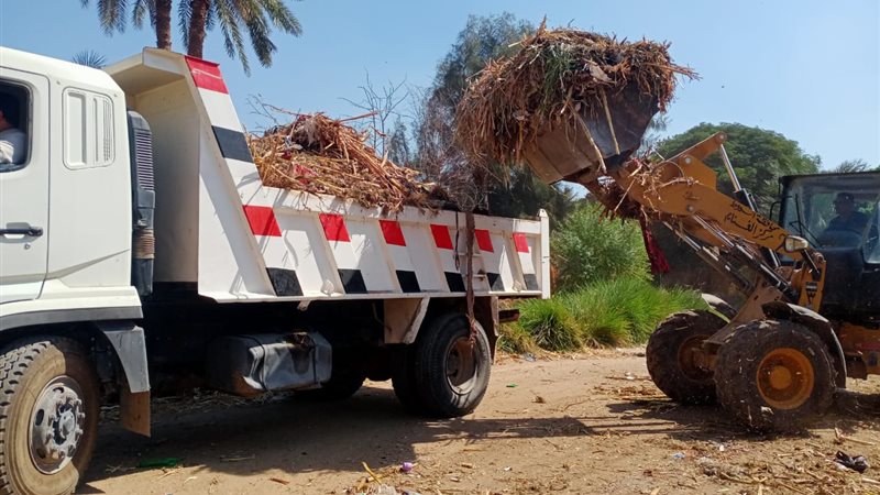 حملة نظافة بأسيوط