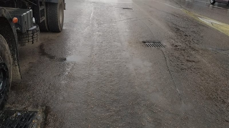 شوارغ الاسكندريه