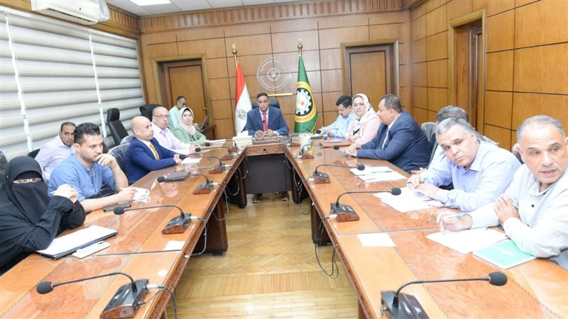 محافظ الدقهلية