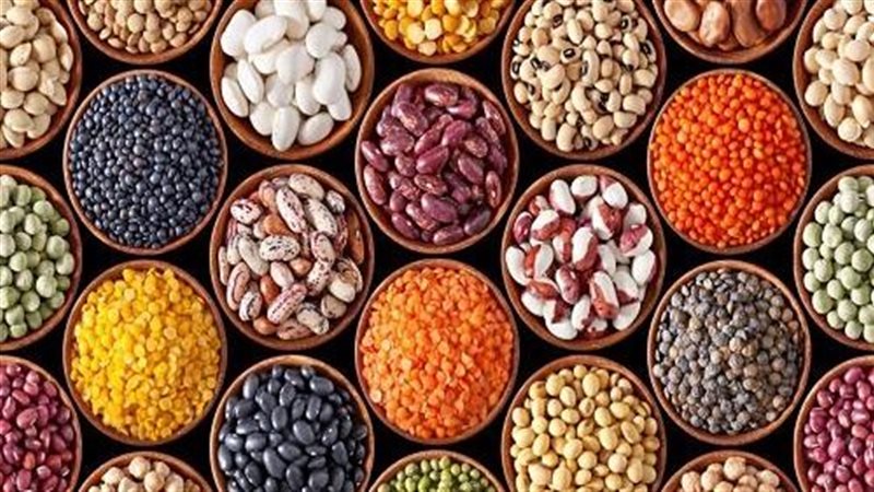 البقوليات 