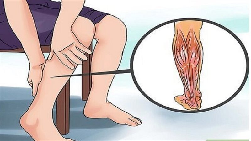 تدريب العضلة النعلية