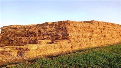 تحركات عاجلة من البيئة تخوفا لاكتساح السحابة السوداء سماء البلاد 