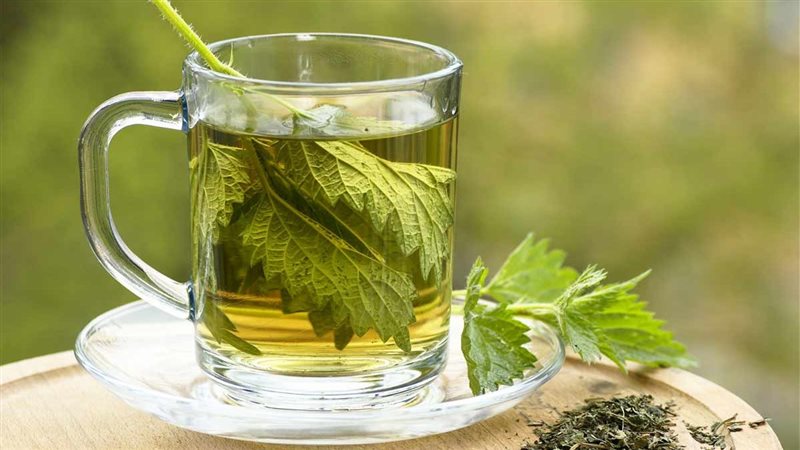 فوائد البقدونس المغلي