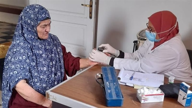 حملات صحية بالدقهلية