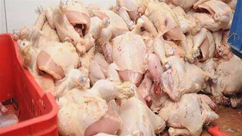 ضبط دواجن فاسدة الجيزة