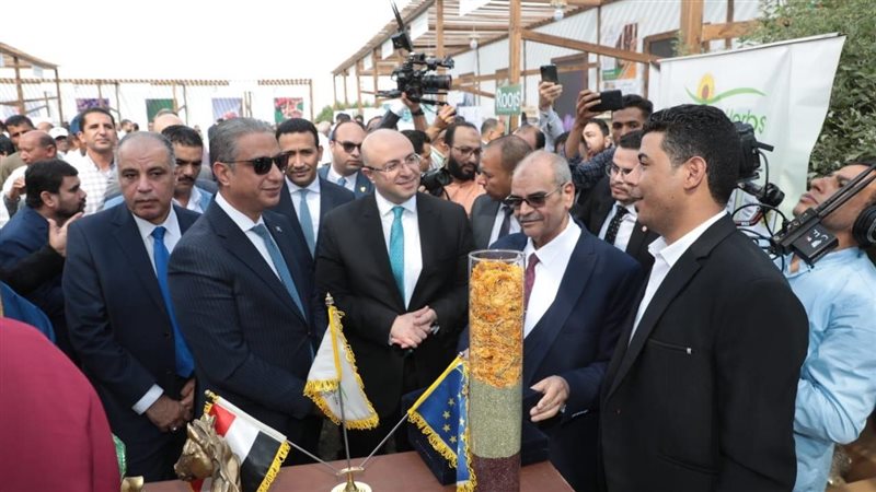 جانب من الفاعلية