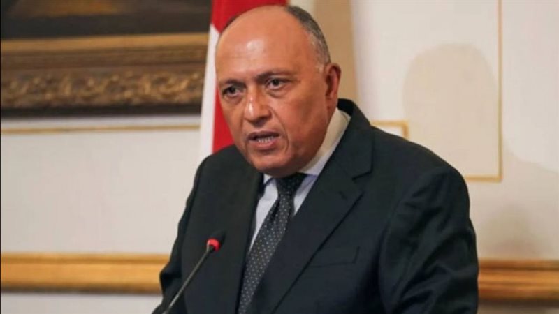 وزير الخارجية 