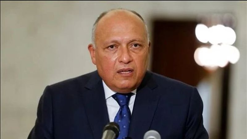  سامح شكري، وزير