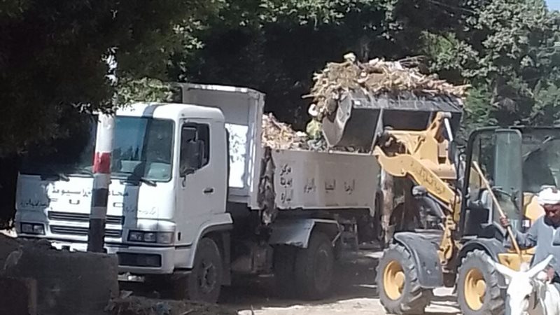  حملة نظافة بأسيوط
