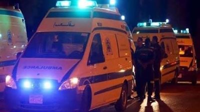 إصابة 11 شخصا في تصادم جرار زراعي بميكروباص بالوادي الجديد