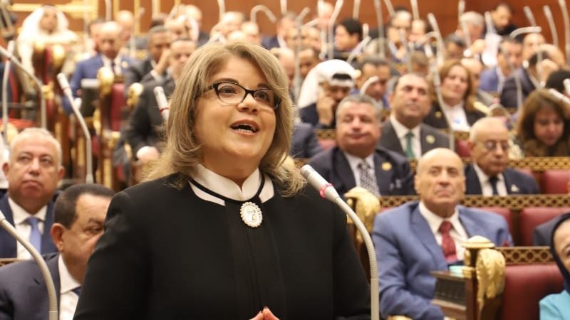 النائبة فيبي فوزي