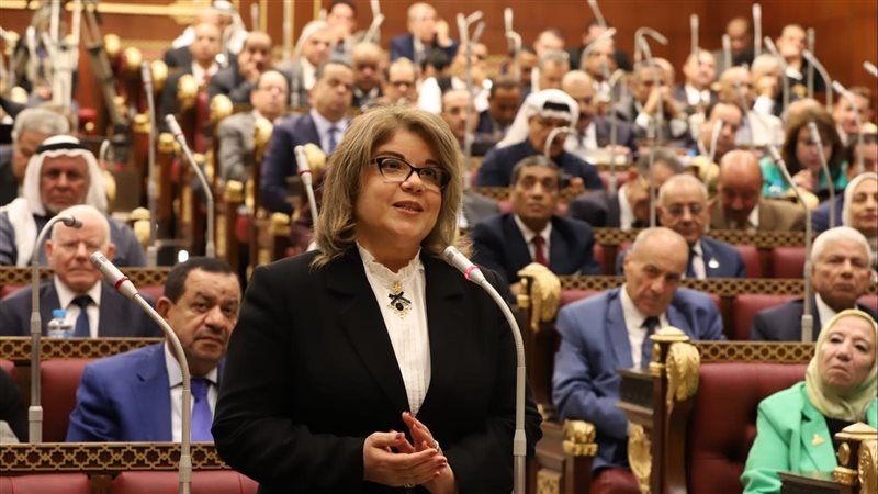  النائبة فيبي فوزي