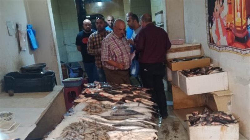 آلاسكندرية 